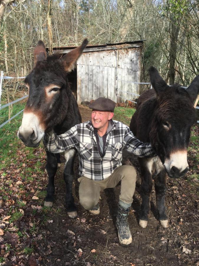 The Llama Farm France Saint-Cyr-Les-Champagnes Экстерьер фото