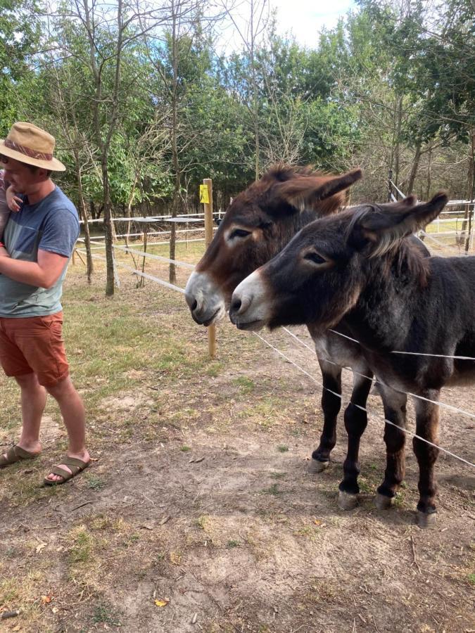 The Llama Farm France Saint-Cyr-Les-Champagnes Экстерьер фото