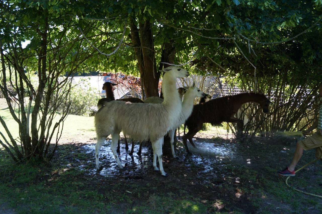 The Llama Farm France Saint-Cyr-Les-Champagnes Экстерьер фото