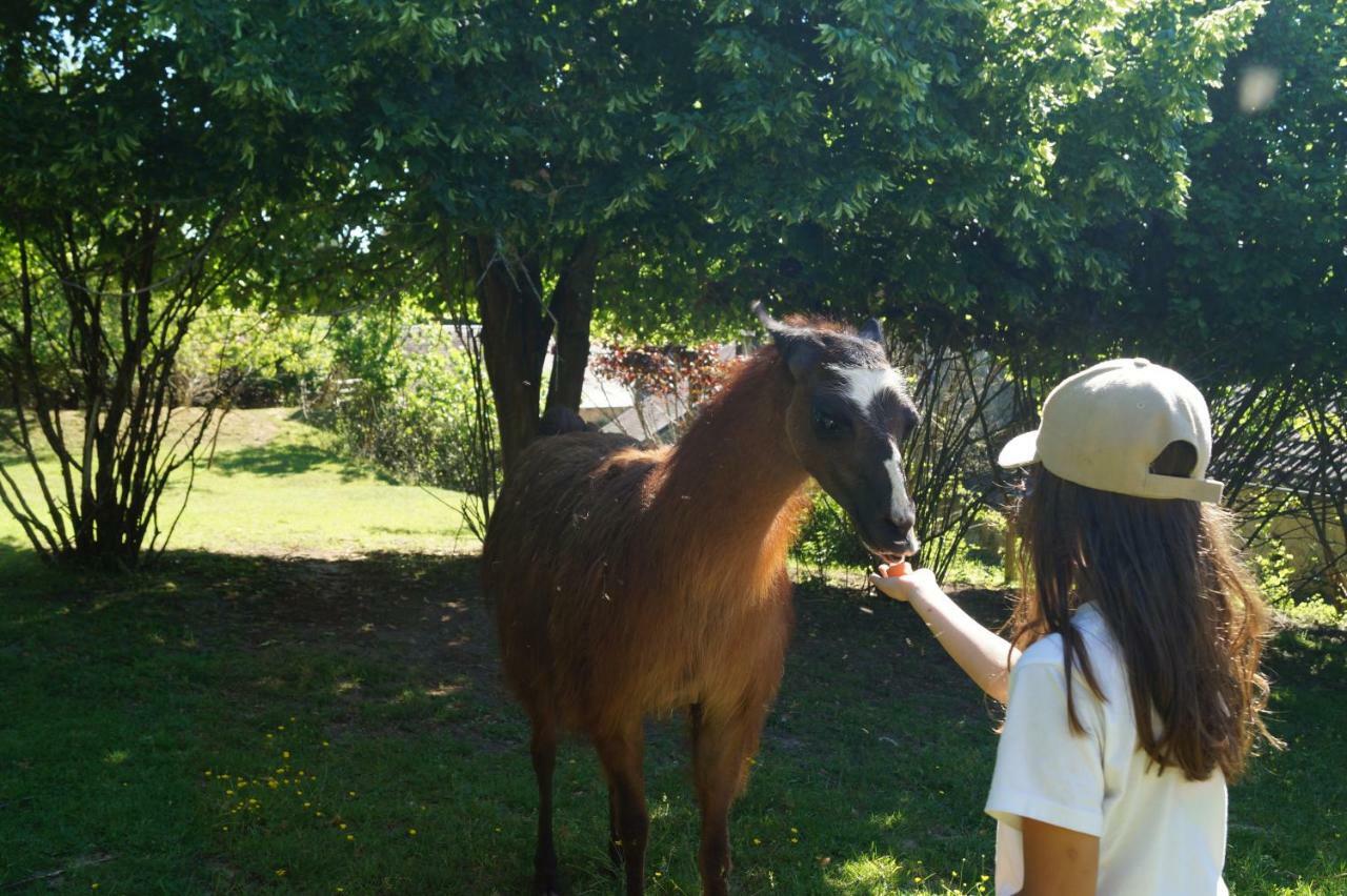 The Llama Farm France Saint-Cyr-Les-Champagnes Экстерьер фото