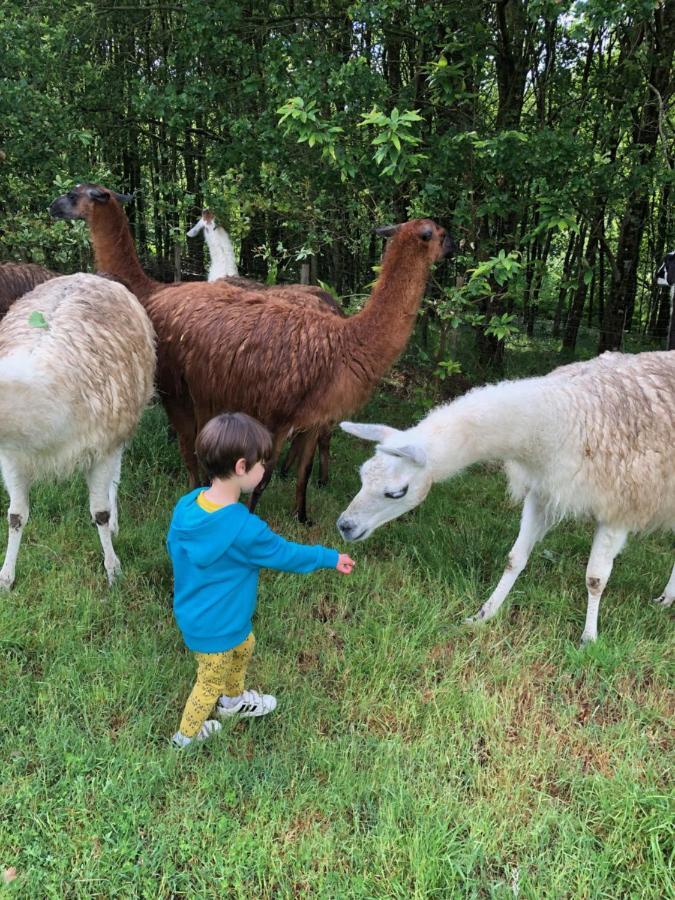 The Llama Farm France Saint-Cyr-Les-Champagnes Экстерьер фото