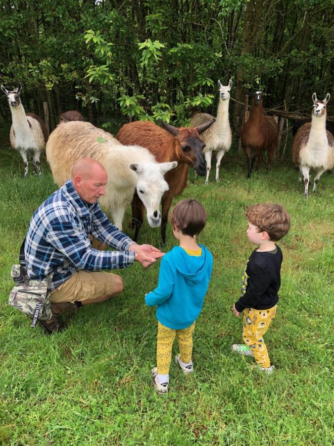The Llama Farm France Saint-Cyr-Les-Champagnes Экстерьер фото