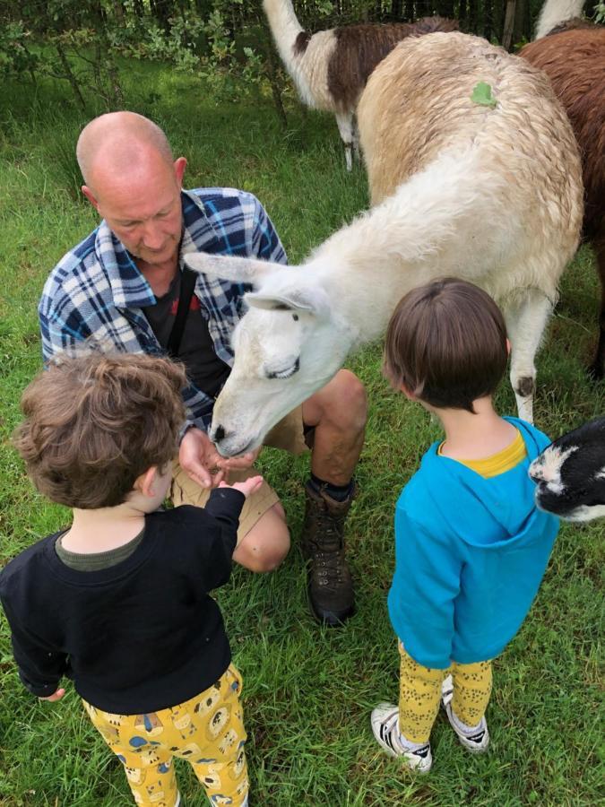 The Llama Farm France Saint-Cyr-Les-Champagnes Экстерьер фото