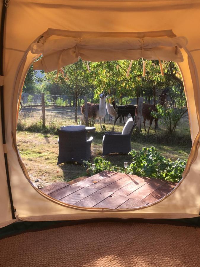 The Llama Farm France Saint-Cyr-Les-Champagnes Экстерьер фото